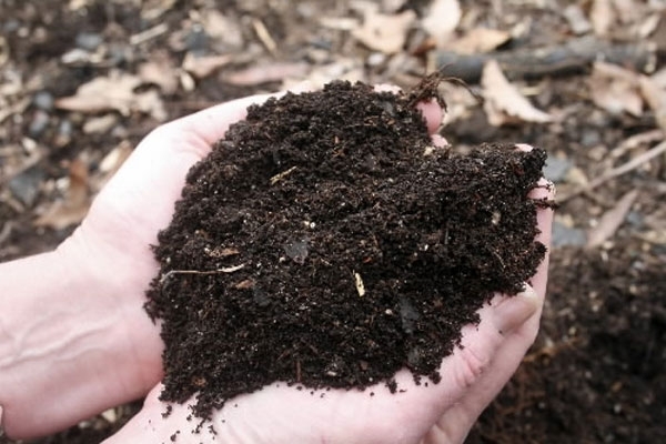 il compost